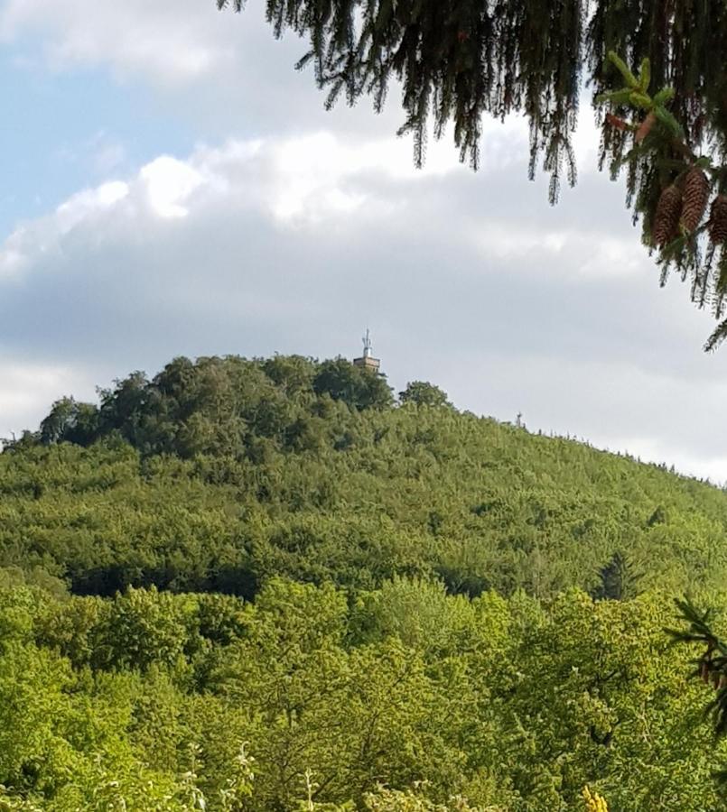 הוילה בלאנקנבורג Ferienhaus "Am Staufenberg" מראה חיצוני תמונה