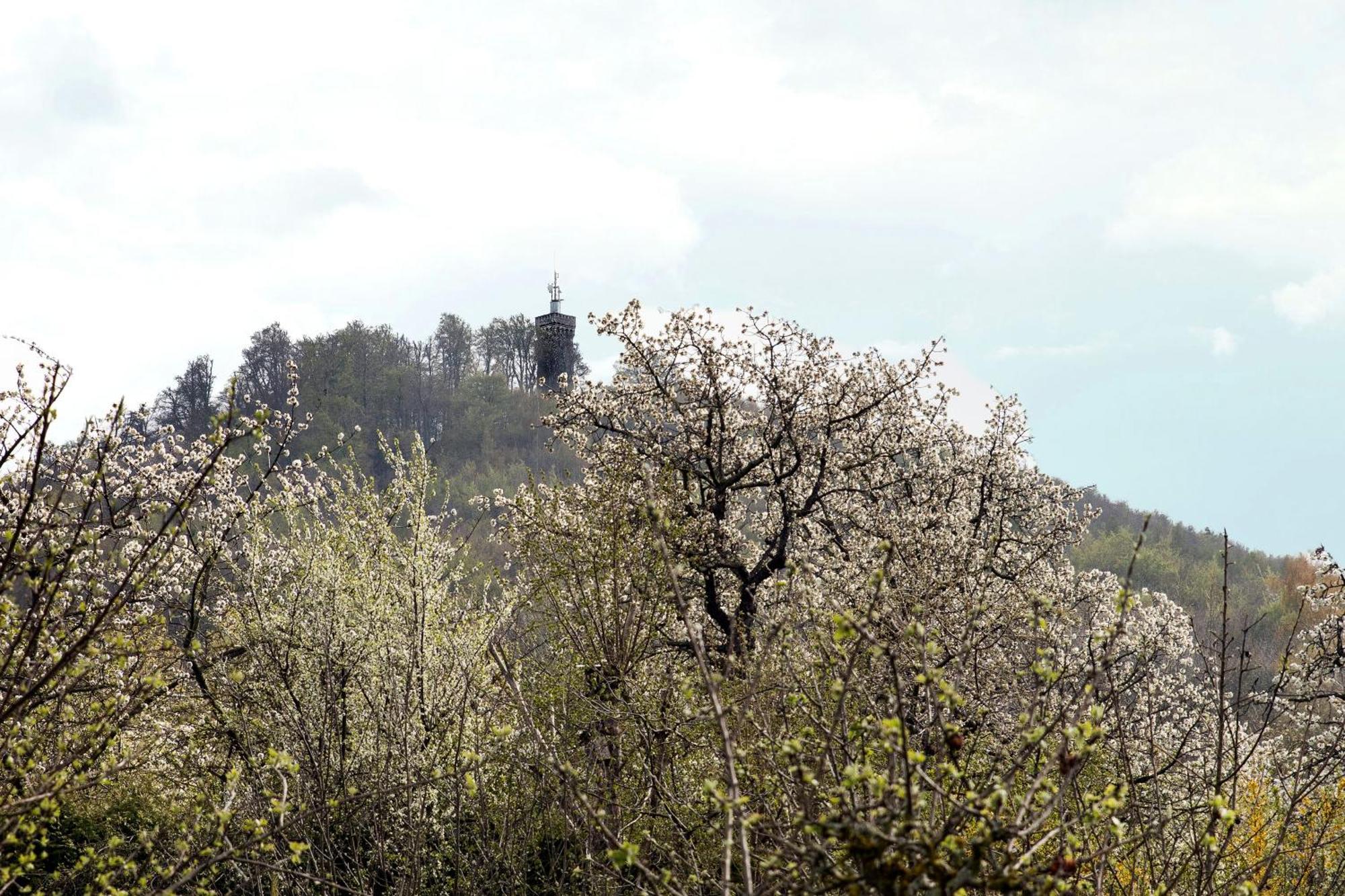 הוילה בלאנקנבורג Ferienhaus "Am Staufenberg" מראה חיצוני תמונה