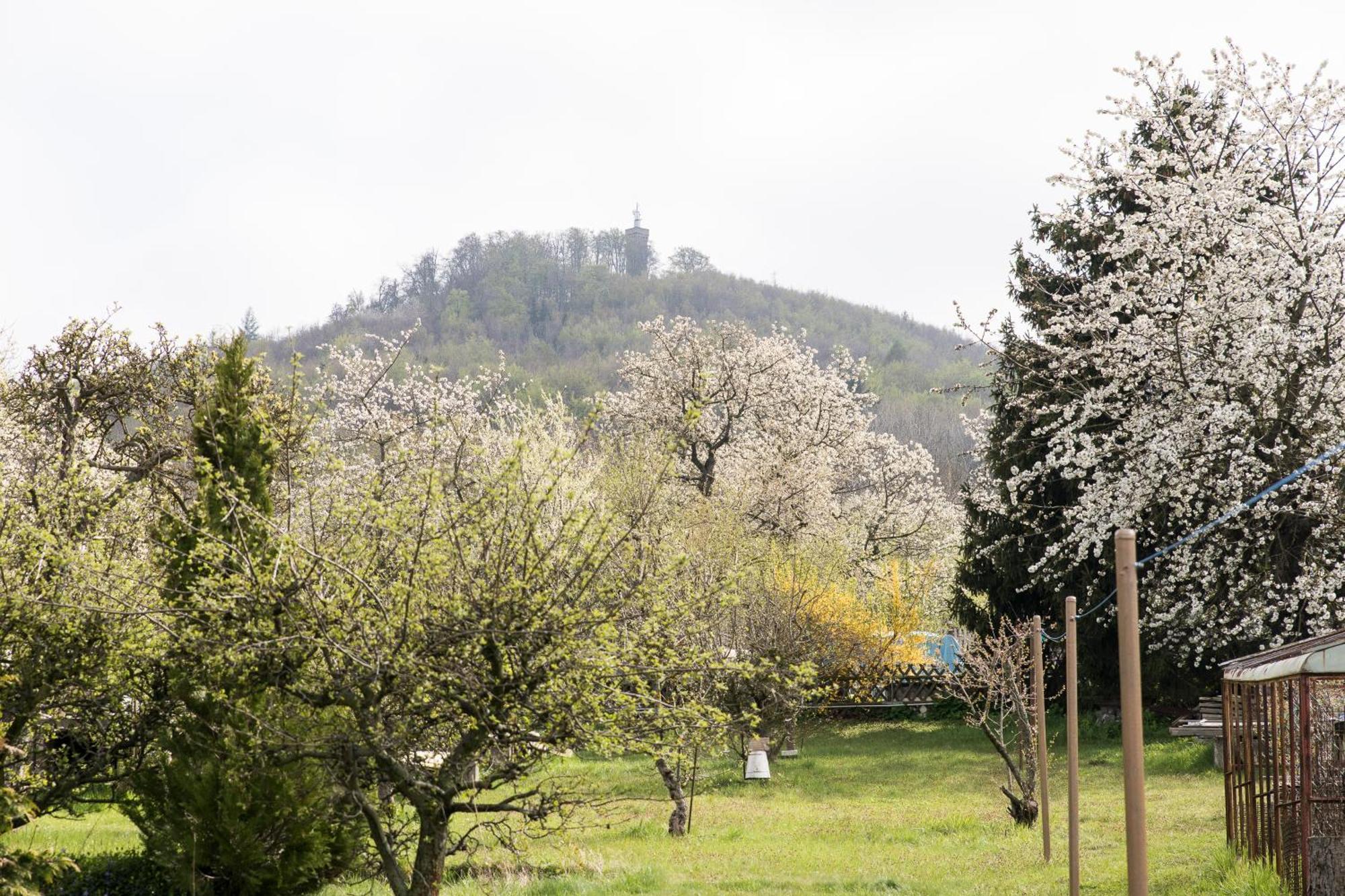 הוילה בלאנקנבורג Ferienhaus "Am Staufenberg" מראה חיצוני תמונה